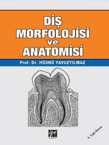 Diş Morfolojisi ve Anatomisi