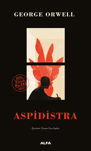 Aspidistra