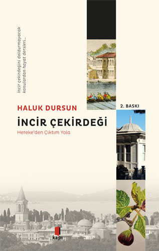 İncir Çekirdeği